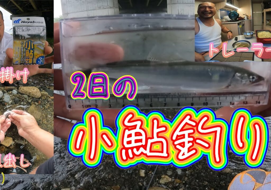 小鮎釣りして来ました。
