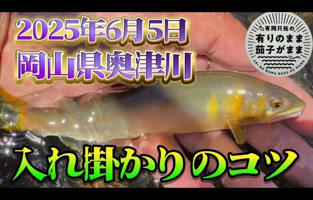張らず緩める【鮎釣り】