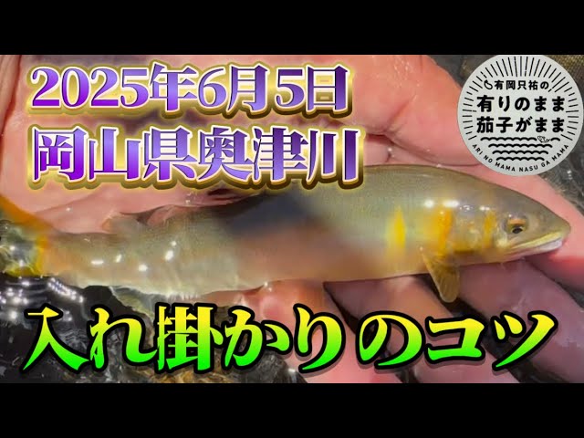 張らず緩める【鮎釣り】