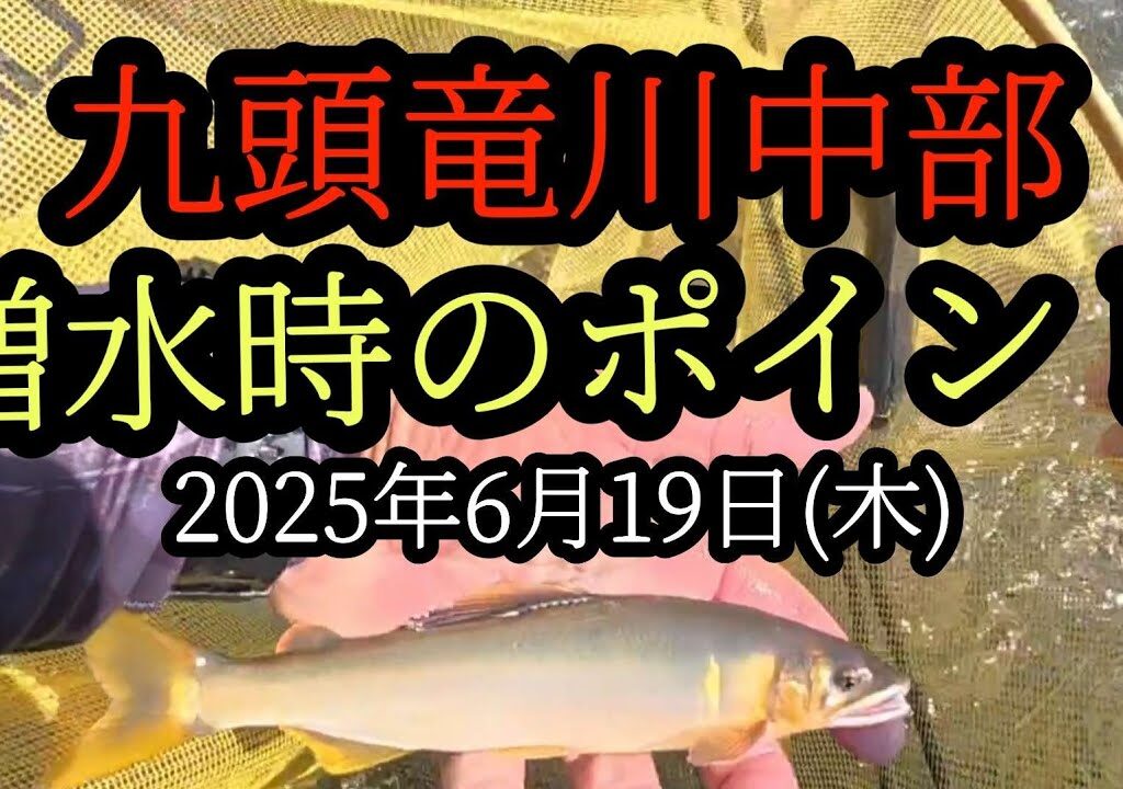 【増水時のポイント】九頭竜川中部鮎釣り