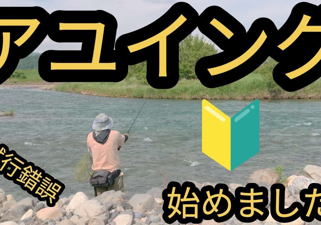 【アユイング】鮎のルアー釣り始めました。#アユイング　#ルアー　#鮎　#友釣り