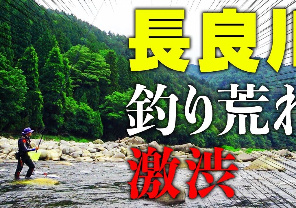 釣り荒れして変わり果てた長良川がヤバい…【長良川 鮎釣り】