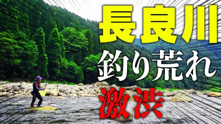 釣り荒れして変わり果てた長良川がヤバい…【長良川 鮎釣り】