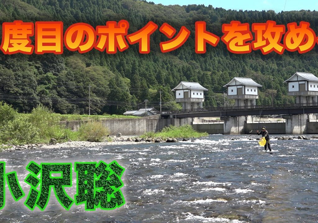 鮎釣り 小沢聡 ２度目のポイントを攻める