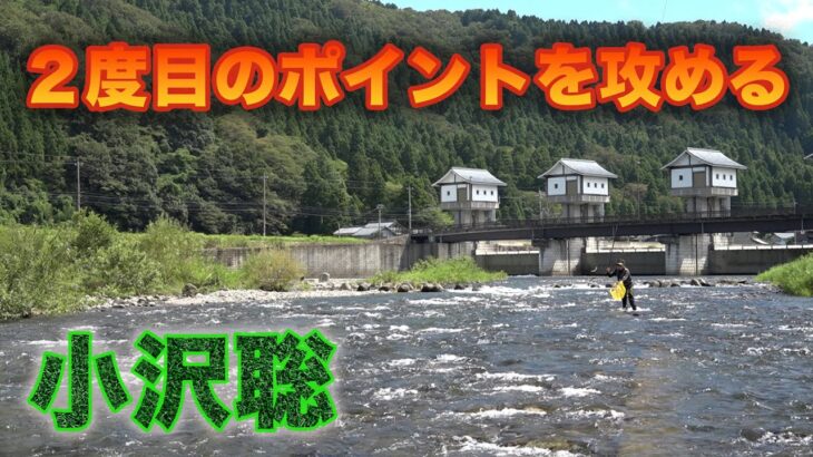 鮎釣り 小沢聡 ２度目のポイントを攻める