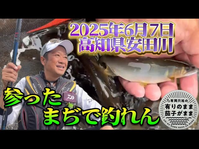 え〜なんでぇ〜？？これほど釣れんとは。。。【鮎釣り】