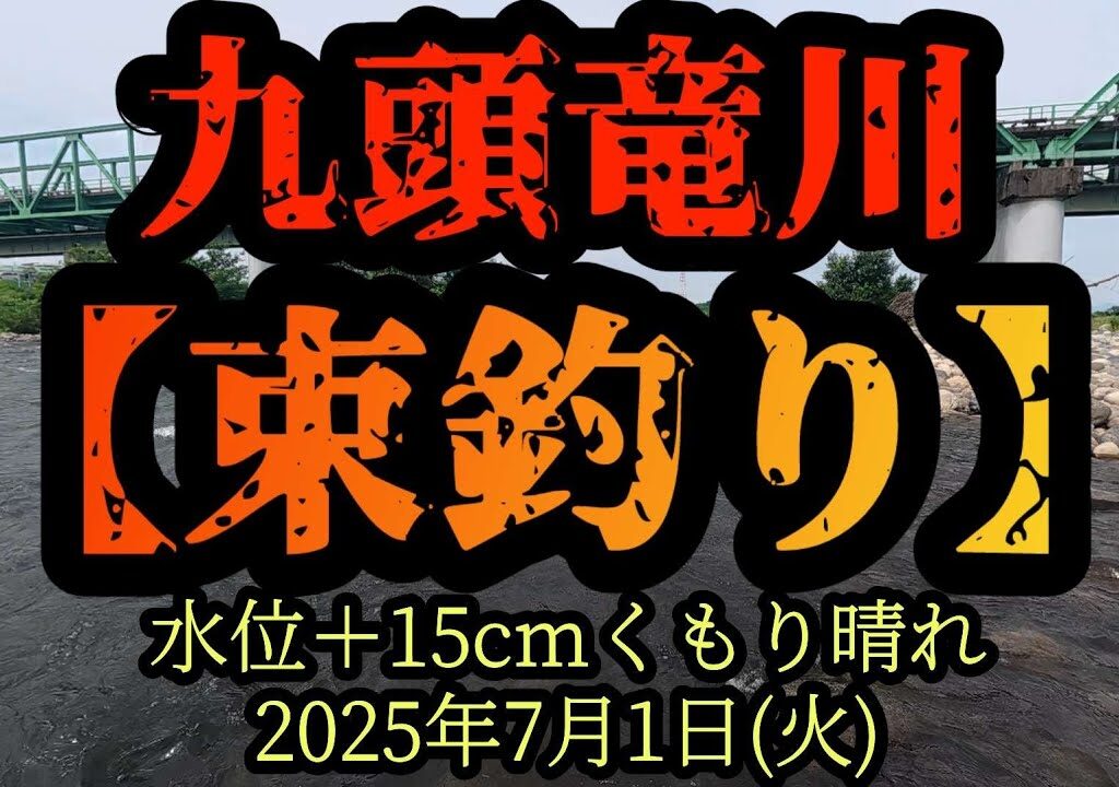 【束釣り】100匹達成！　九頭竜鮎の神様に「20cmを20匹釣らせて下さい。」とお願いしたら？　2025年7月1日