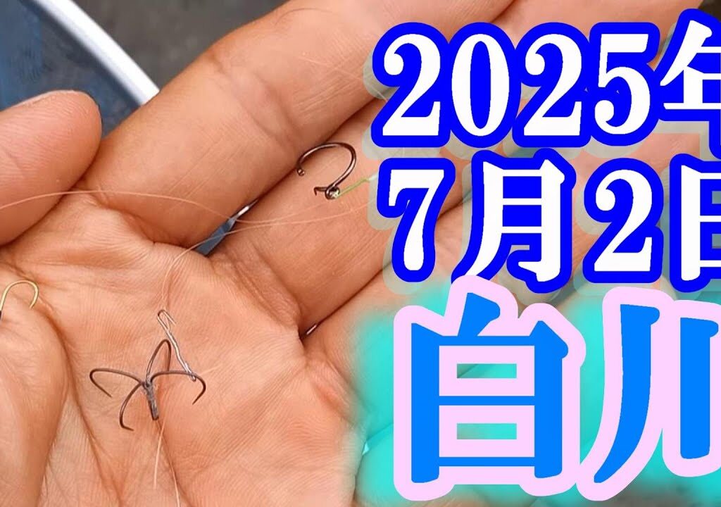 鮎釣り 10cm高垢腐れ 下野橋下（牛小屋下）白川町と東白川町の境  白川  2025年