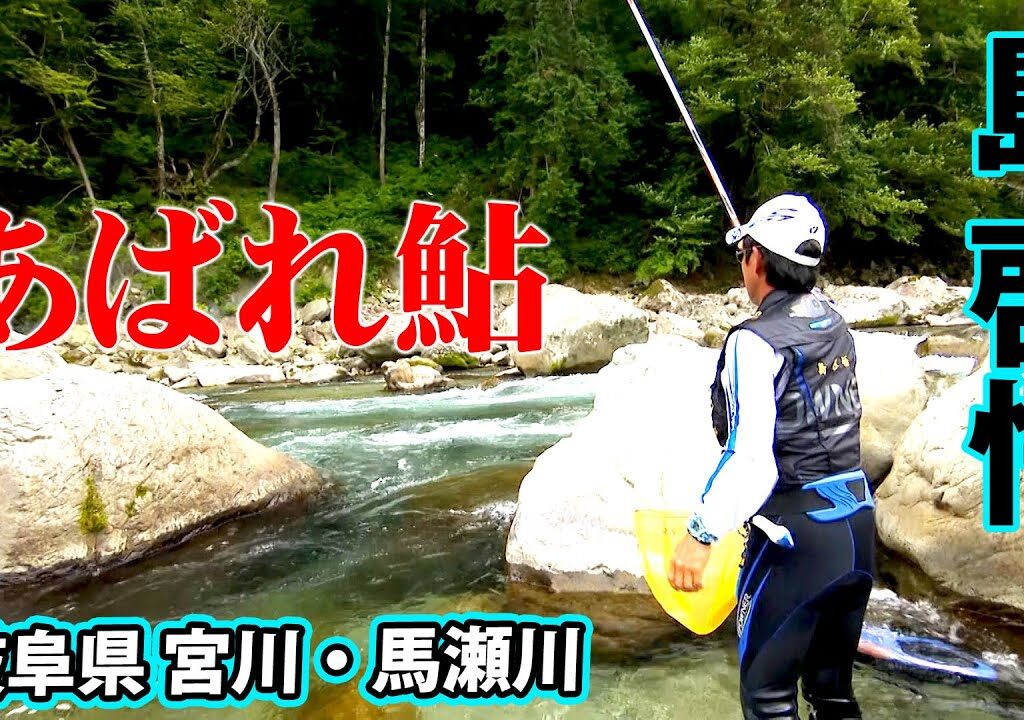 島啓悟が真夏の岐阜県で「あばれ鮎」を狙う。雨後の濁りを攻略できるのか 1/2 『鮎2021』【釣りビジョン】