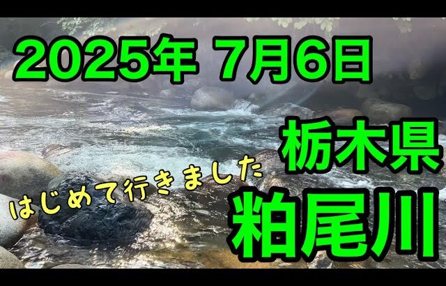 [アユ釣り 14] 栃木県粕尾川  解禁日（2025年7月6日）