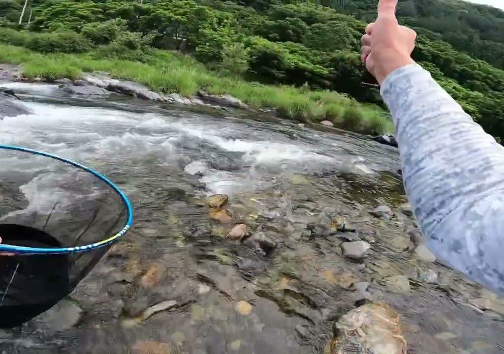2025鮎釣り解禁ダイジェスト