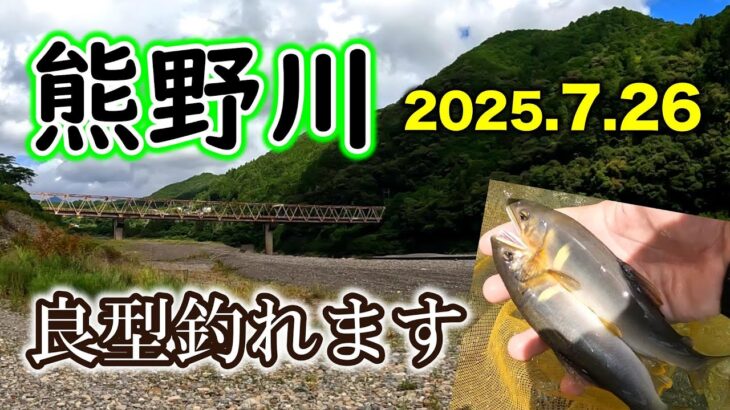 サイズが揃う！熊野川本流に潜む良型アユを探し出す【2025　鮎釣り】