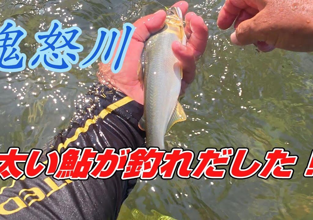 【2025鮎釣り】鬼怒川 デカイ鮎が釣れだした❗