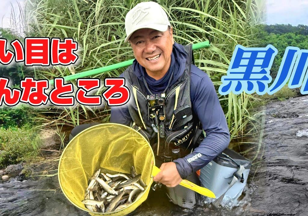 【2025鮎釣り】黒川 狙い目はこんなところ❗