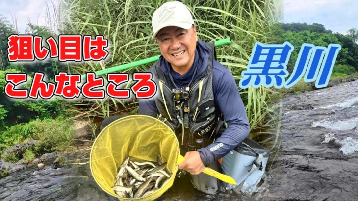 【2025鮎釣り】黒川 狙い目はこんなところ❗
