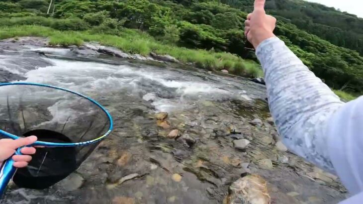 2025鮎釣り解禁ダイジェスト
