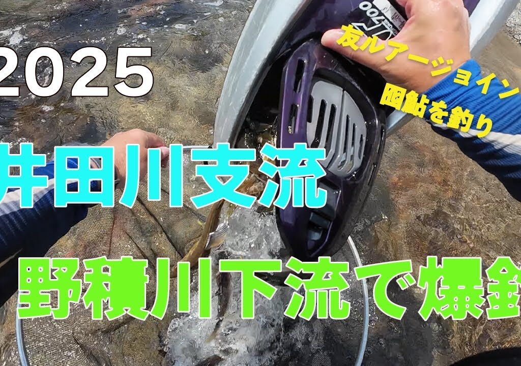 2025 井田川支流野積川下流で爆釣！