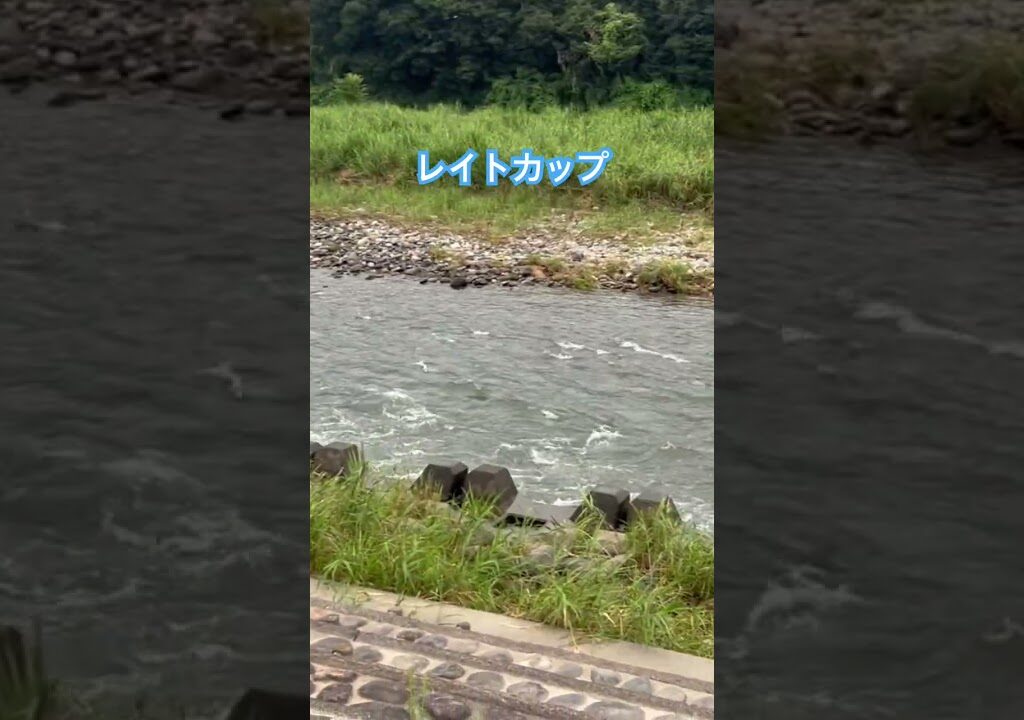 レイトカップ2025参加してきました。 #釣り #鮎釣り #アユ釣り