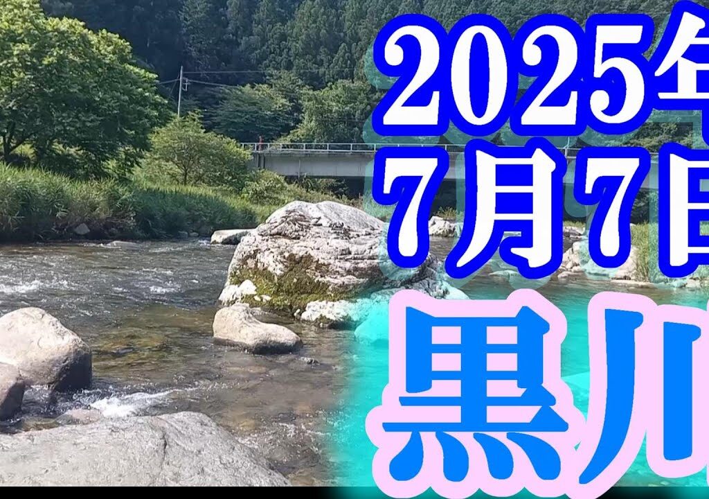 鮎釣り 平水垢腐れ 山寄橋 ゲンキー上 羽柄橋 藤井橋 白川支流黒川  2025年