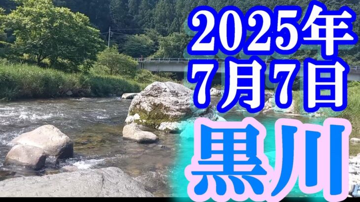 鮎釣り 平水垢腐れ 山寄橋 ゲンキー上 羽柄橋 藤井橋 白川支流黒川  2025年