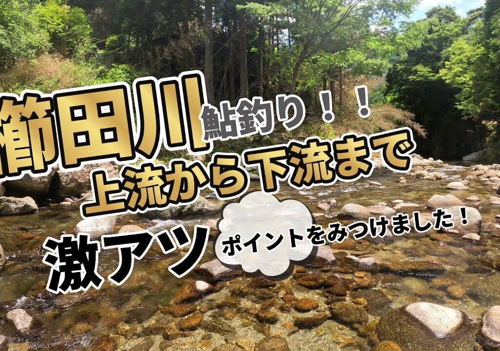 【櫛田川で鮎釣り】大鮎釣りたくてポイント探しました。＃鮎釣り＃櫛田川＃2025年