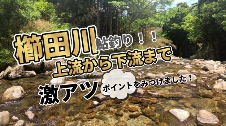 【櫛田川で鮎釣り】大鮎釣りたくてポイント探しました。＃鮎釣り＃櫛田川＃2025年