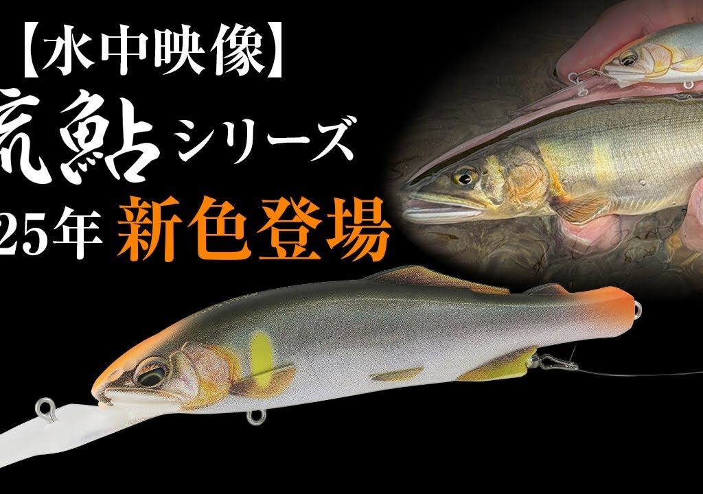 【水中動画】2025デュオ鮎ルアー新色登場！好調背掛かり中！