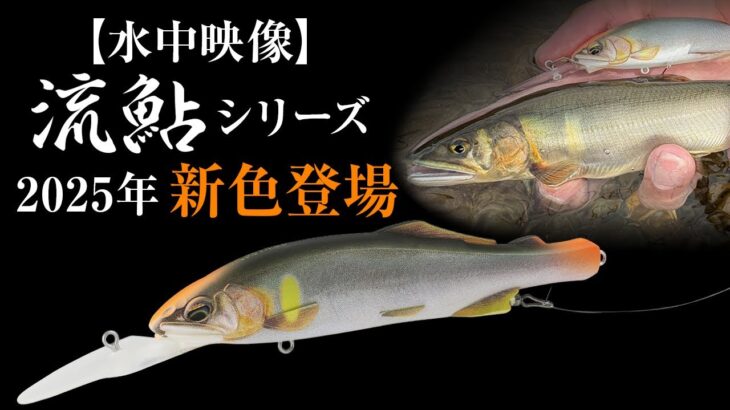 【水中動画】2025デュオ鮎ルアー新色登場！好調背掛かり中！
