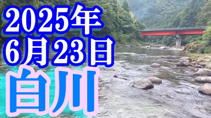 鮎釣り 渇水ぎみ垢腐れぎみ 和泉橋下 白川  2025年