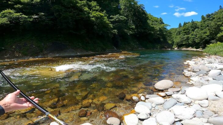 2025鮎釣り 阿仁川4