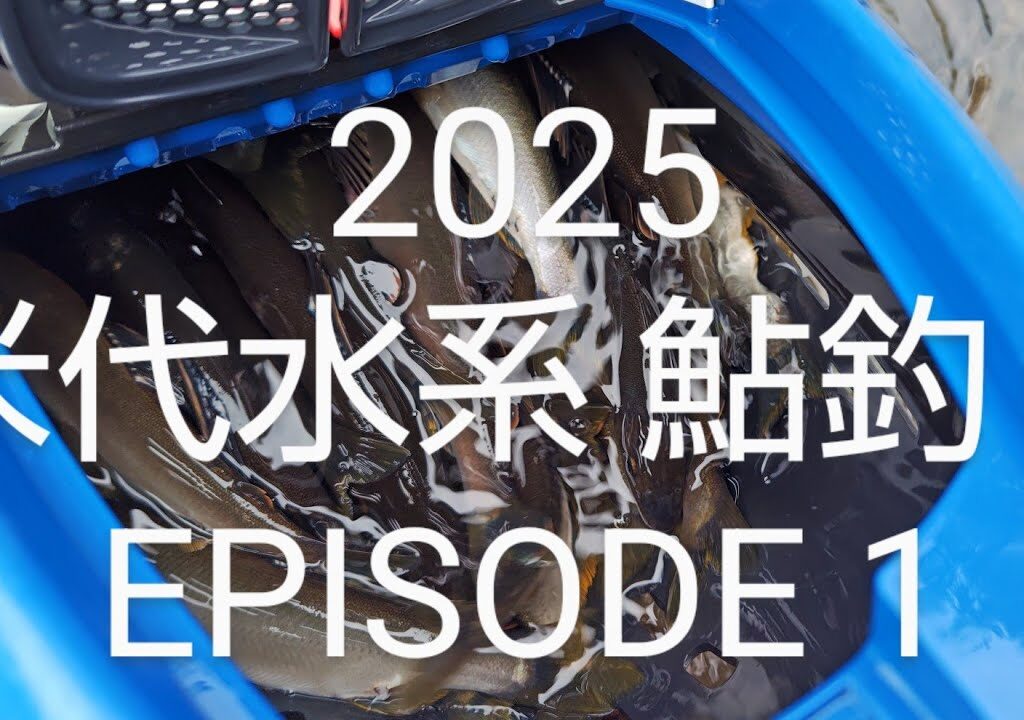2025 米代水系 鮎釣り Episode1