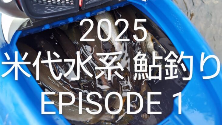 2025 米代水系 鮎釣り Episode1
