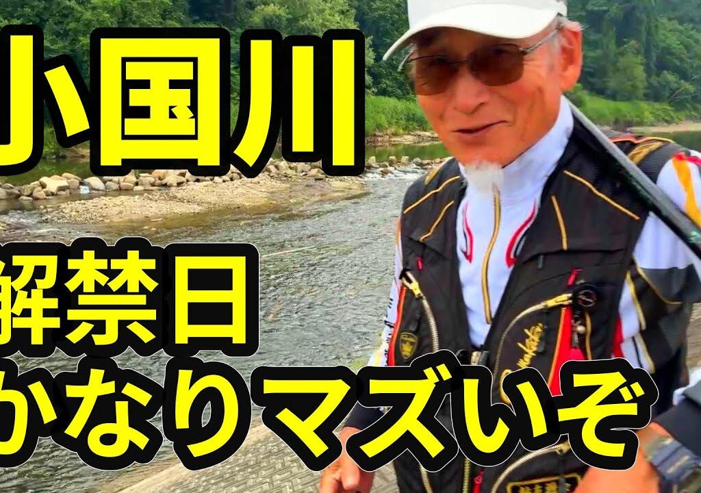 【鮎解禁日 小国川】速報！異変！去年より半分以下 鮎はいるけど釣れる魚が少ない 釣果不安な人絶対見て 2025 小国川遠征取材 はRiver Healing Channel （リバヒ）