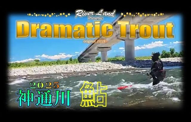 【鮎釣り】神通川2025 ハイシーズン前の肩慣らし ～ドラマティックトラウト trout fishing japan