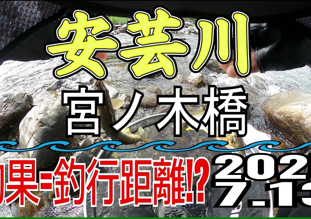 アユの友釣り 安芸川(高知県) 宮ノ木橋 2025.7.13