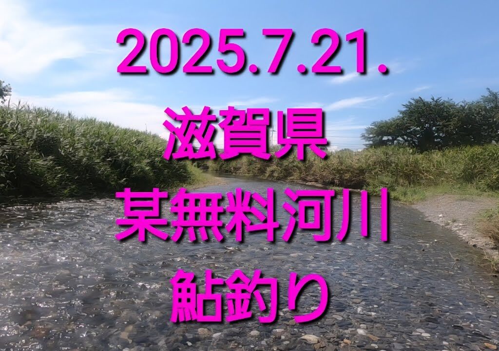 無料河川　鮎釣り探検（2025.7.21.）魚はいるのか？