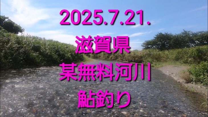 無料河川　鮎釣り探検（2025.7.21.）魚はいるのか？