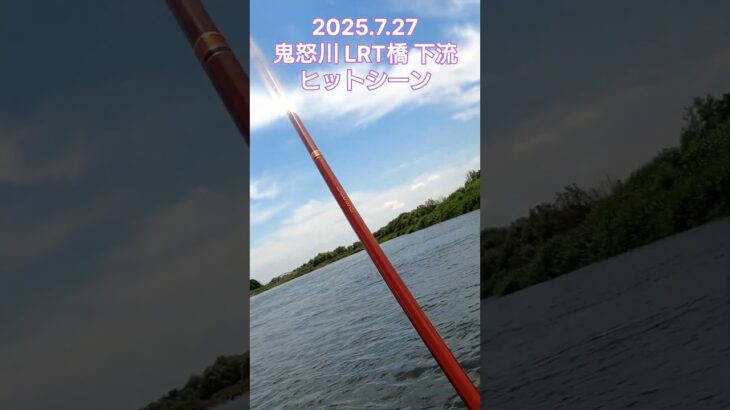 【鮎釣り】2025.7.27 鬼怒川 LRTの橋下流でのヒットシーン#short