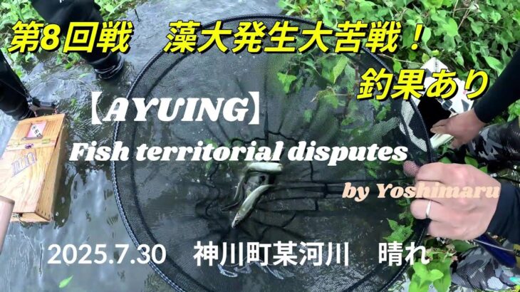 2025.7.30　【アユイング】藻大発生大苦戦！？　鮎ルアーで釣果あり！！