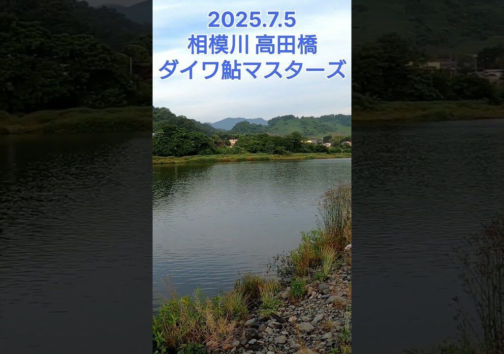 【鮎釣り】2025.7.5 相模川 高田橋 ダイワ鮎マスターズ#short