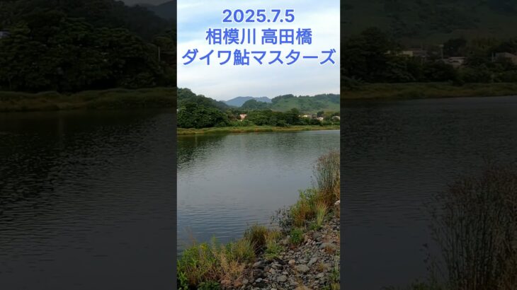 【鮎釣り】2025.7.5 相模川 高田橋 ダイワ鮎マスターズ#short