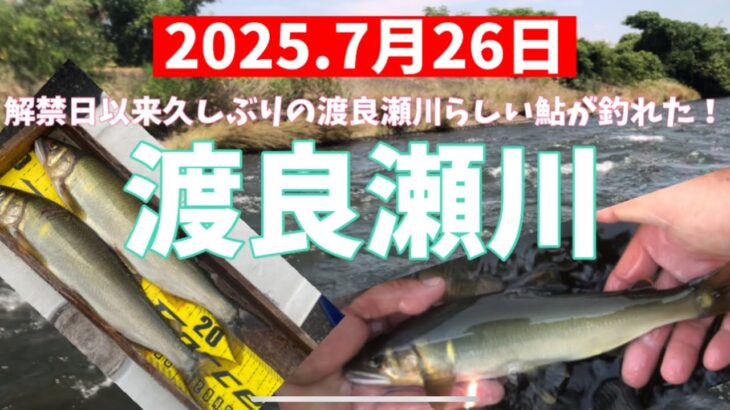 2025.7月26日.久しぶりの渡良瀬川そろそろ大鮎シーズン突入か？　　　　#釣り #鮎釣り #サンライン #サンテック #vita #渡良瀬川 #渡良瀬漁協