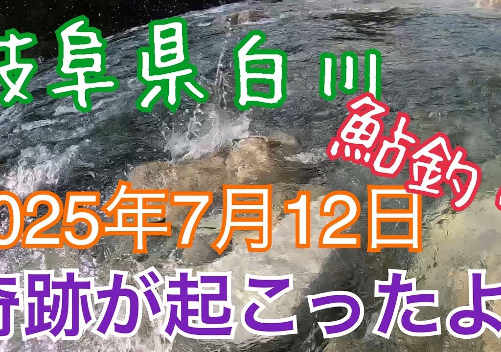 鮎釣り　岐阜県白川　2025年7月12日　増水の中　奇跡が❗️