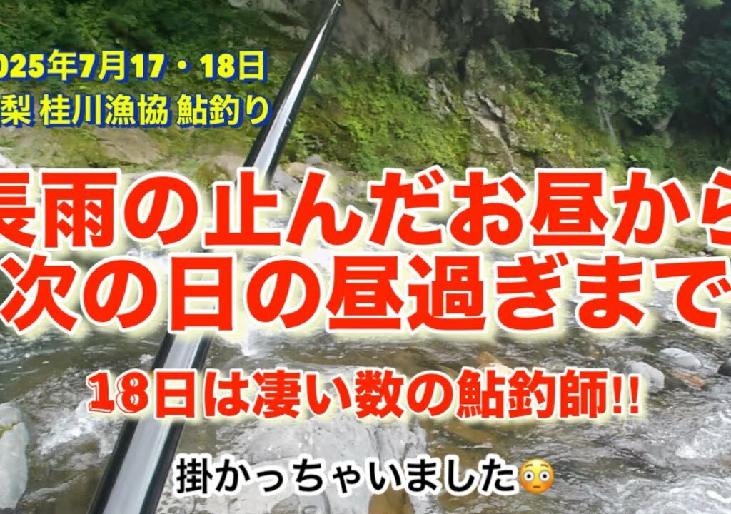 山梨県 桂川漁協 桂川本流 鮎釣り  2025年7月17・18日  長雨の止んだ日を狙ってみたものの🤣