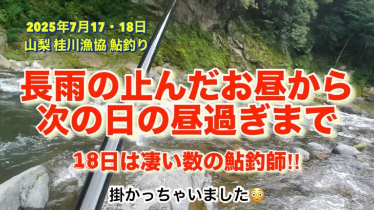 山梨県 桂川漁協 桂川本流 鮎釣り  2025年7月17・18日  長雨の止んだ日を狙ってみたものの🤣