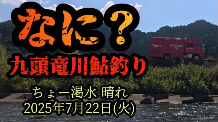 【なに？】九頭竜川鮎釣り　2025年7月22日(火)