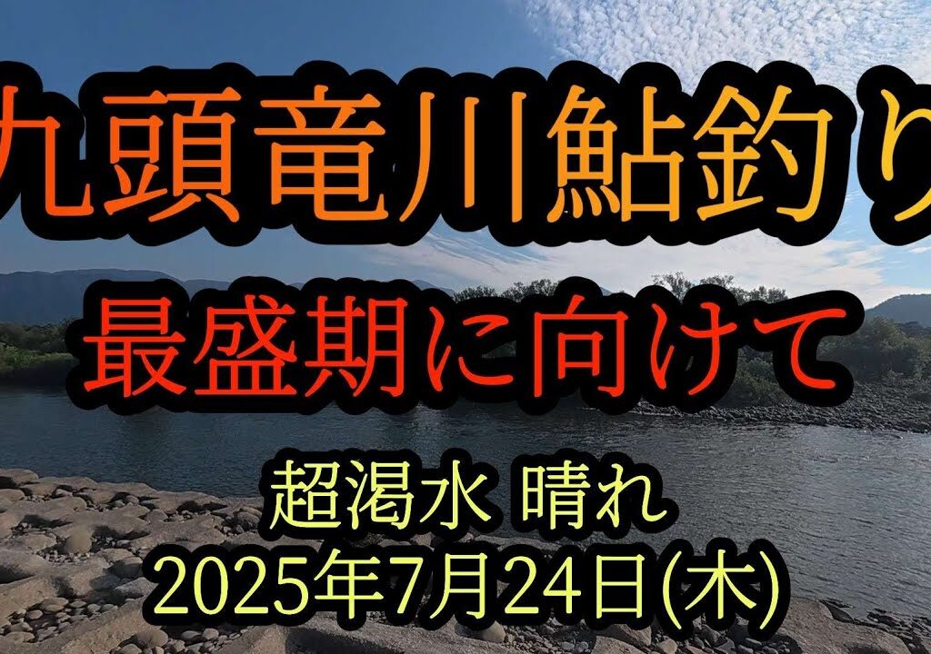 【九頭竜川鮎釣り】最盛期に向けて　2025年7月24日(木)