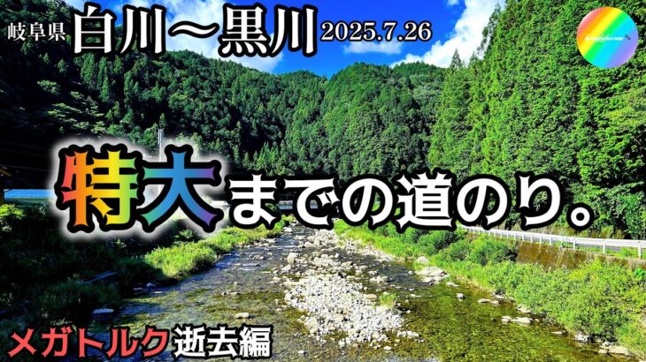 【鮎釣り2025】白川、黒川（岐阜県）｜7月26日（土）【友釣り】