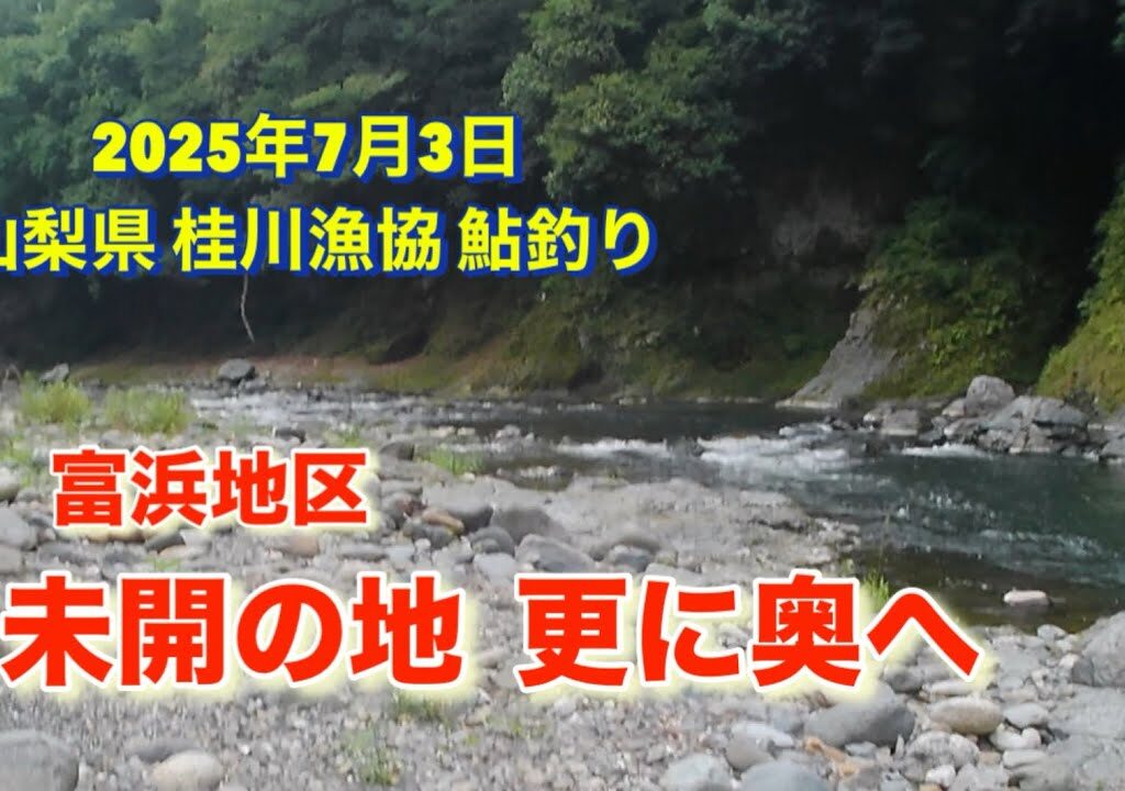 山梨県桂川漁協 桂川本流 鮎釣り 2025年7月3日 未開の地まで足を運んで🫣