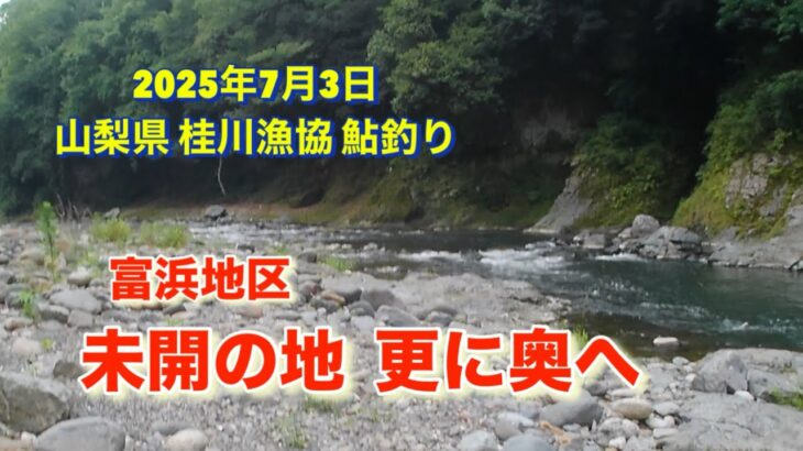 山梨県桂川漁協 桂川本流 鮎釣り 2025年7月3日 未開の地まで足を運んで🫣